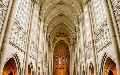 catedral-la-plata-argentina-3-conejo-verde