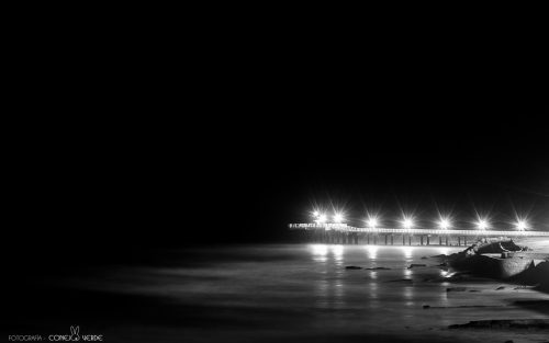 costas-noche-miramar-argentina-2-conejo-verde