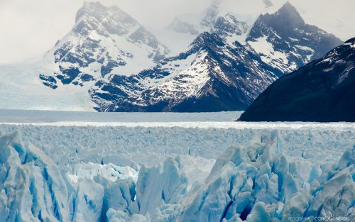 glaciar-perito-moreno-3-conejo-verde