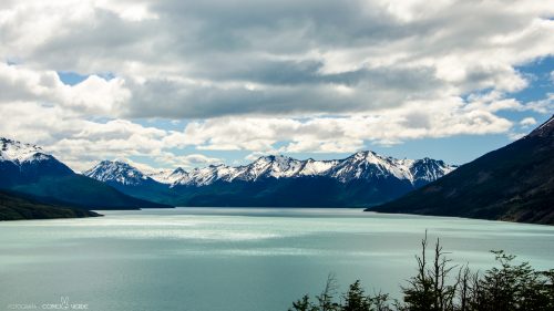 glaciar-perito-moreno-4-conejo-verde