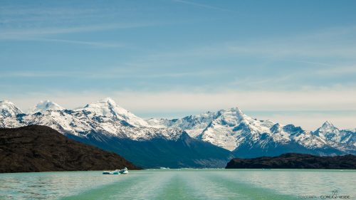 glaciar-perito-moreno-7-conejo-verde