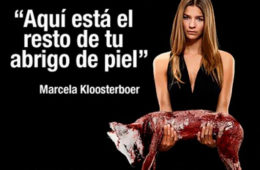 Campaña publicitaria – Animanaturalis