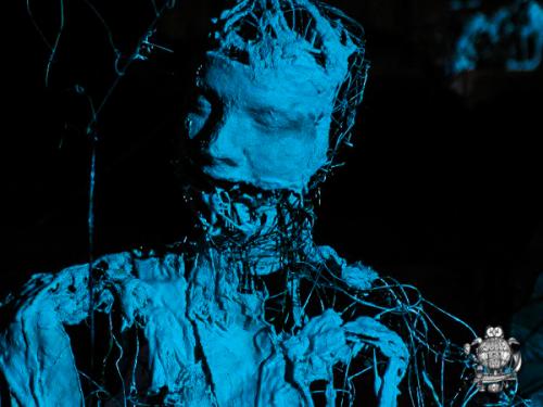 sinapsis-instalacion-sabrina-suarez-1
